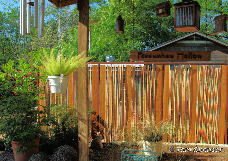 Bamboo Grove Photo: Bamboo Garden Screens