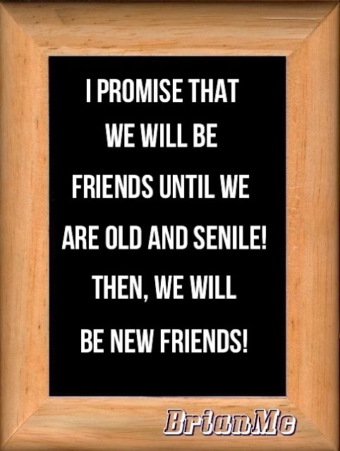 I promise that we will be friends until we are old and senile! Then, we will be new friends!, quote