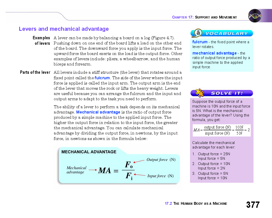 Free Worksheet Cpo Science Worksheets cpo science worksheets worksheet workbook site chapter 17 textbook graph paper and summary template miss