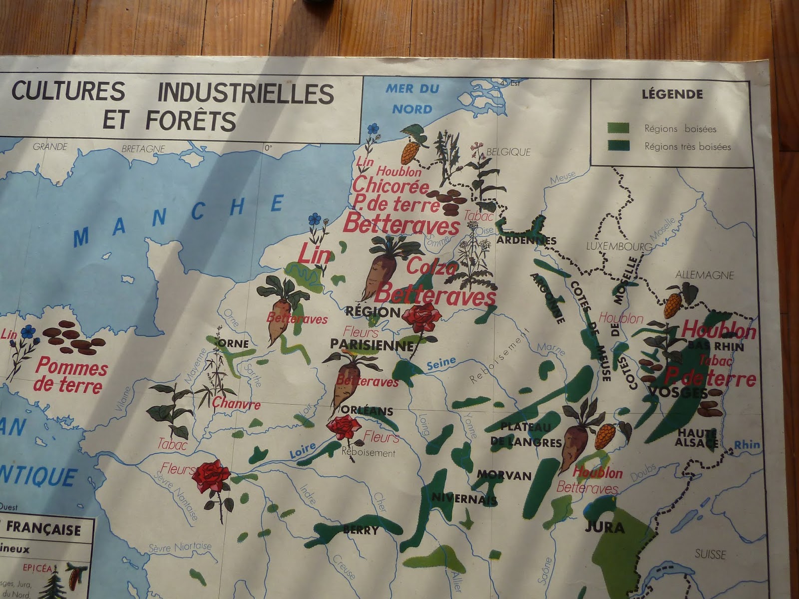 Vintage French Posters Botany Animals Anatomy, old World Maps from ...