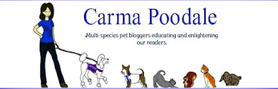 Carma Poodale 