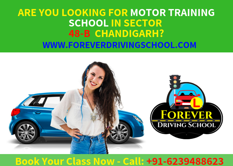 Are You looking for Motor Training School in Sector 48B Chandigarh