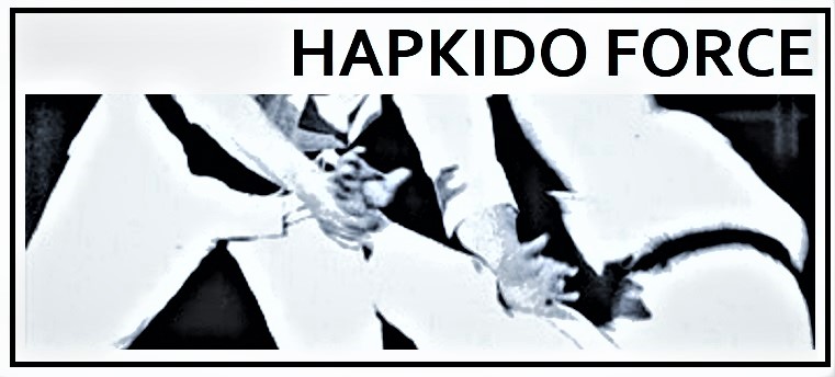 Hapkido force