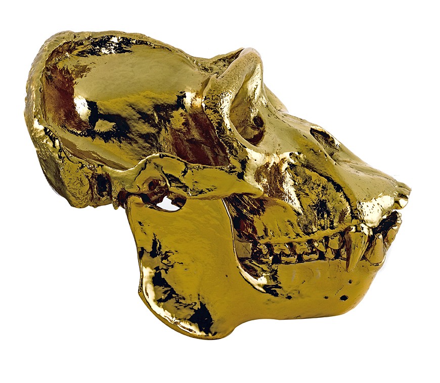 eduardo garza gilded skulls