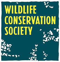 Be interested in wildlife conservation