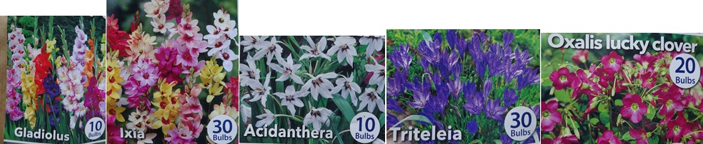 5種類の花