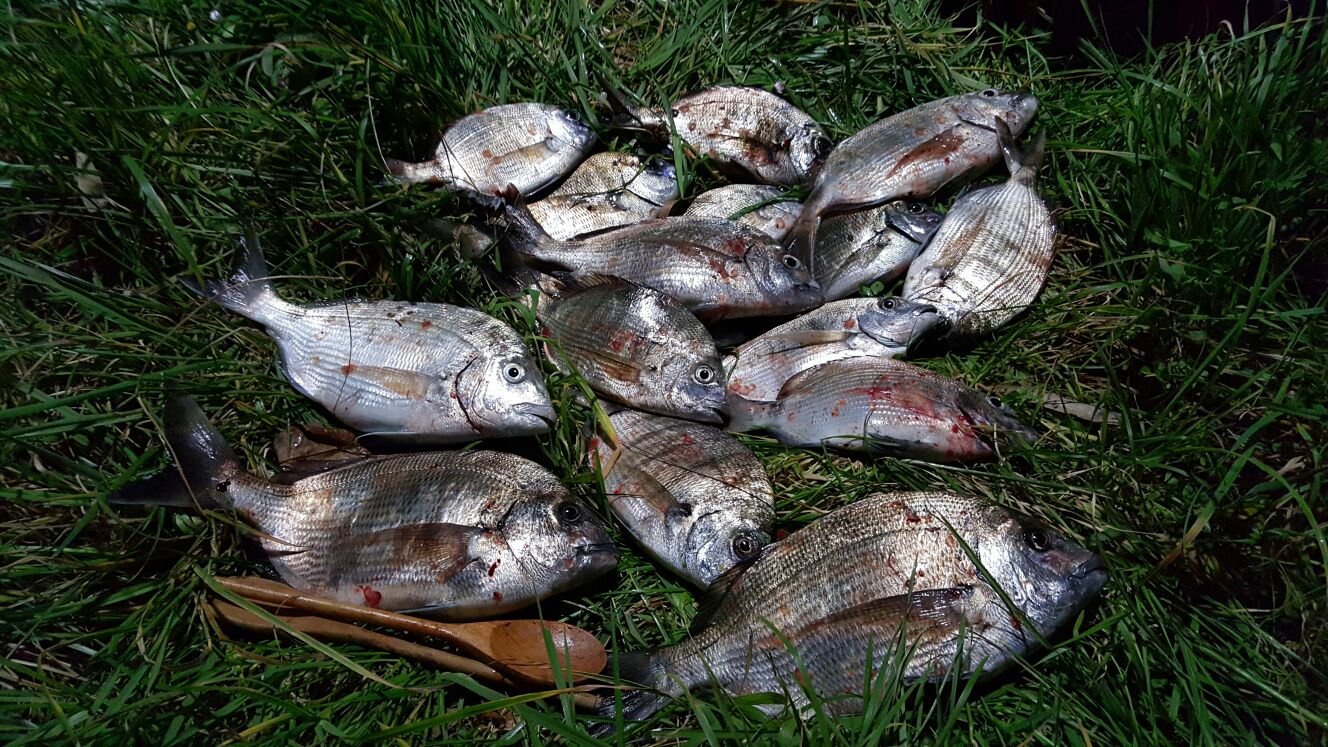 Club Litoral De Pesca: abril 2016