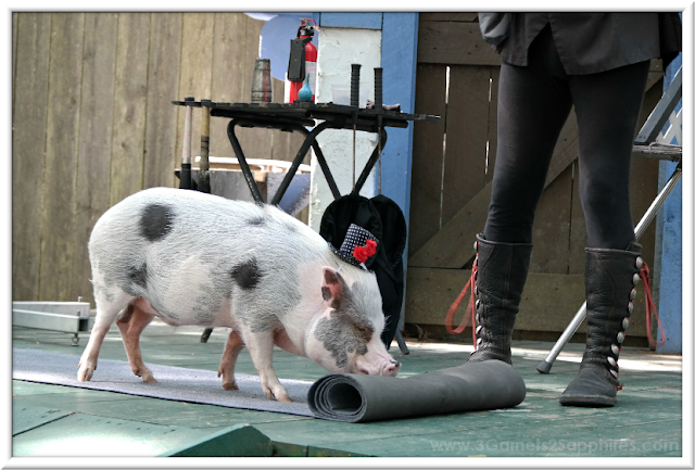 King Richard's Faire - Snorkel the Trained Pig | 3 Garnets & 2 Sapphires