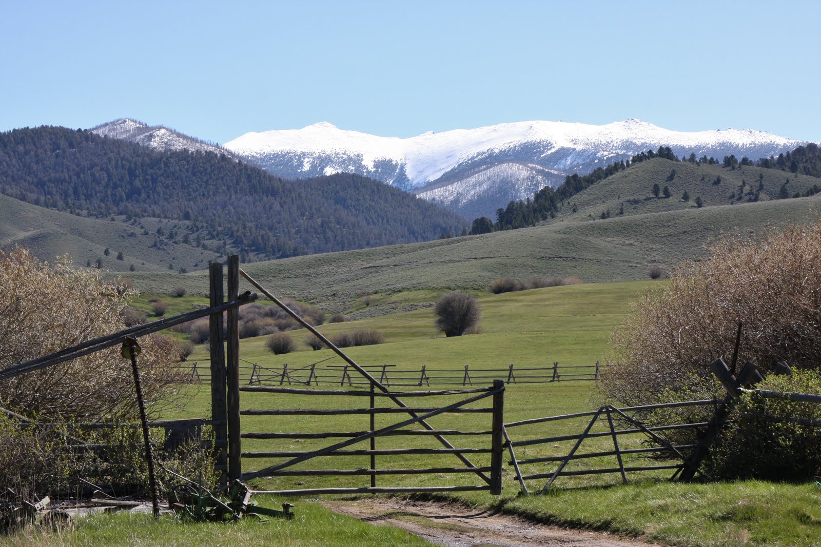 Viewpoints Branding At The Marchesseault Ranch in the