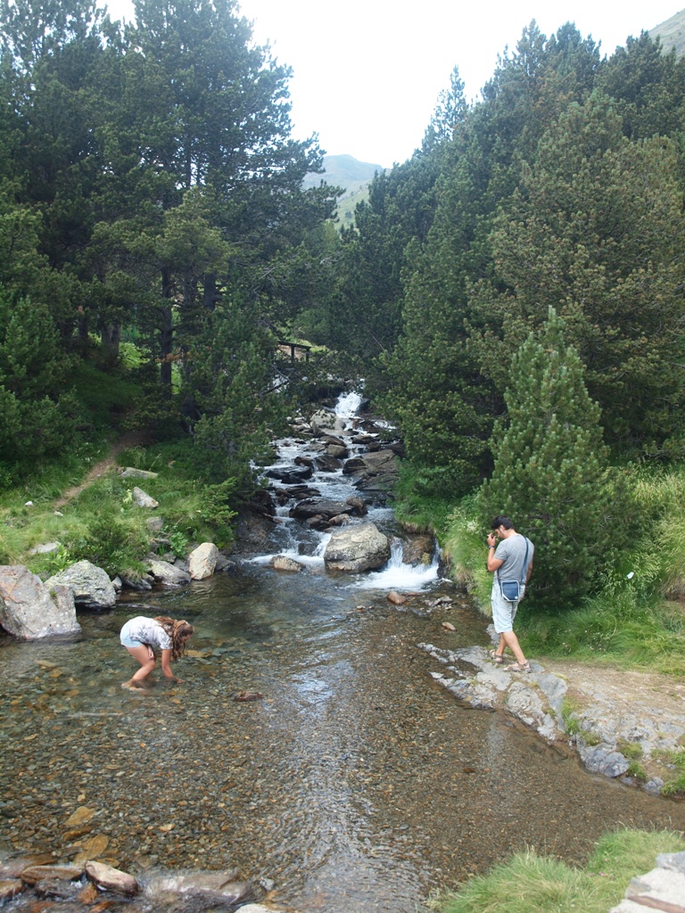 SOM DE PÍCNIC: Àrea recreativa (berenador) Vall de Ransol, Ransol ...