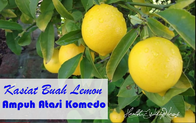  Yuk baca manfaat buah lemon untuk kecantikan dibawah ini supaya anda bisa terhindar dari ko Kasiat Buah Lemon Ampuh Atasi Komedo