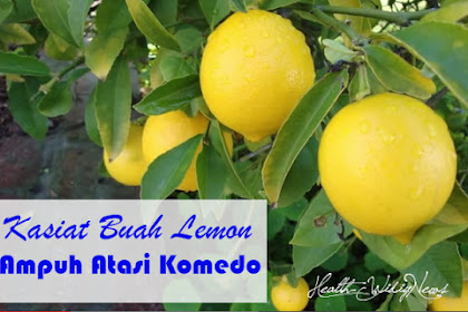 Kasiat Buah Lemon Ampuh Atasi Komedo