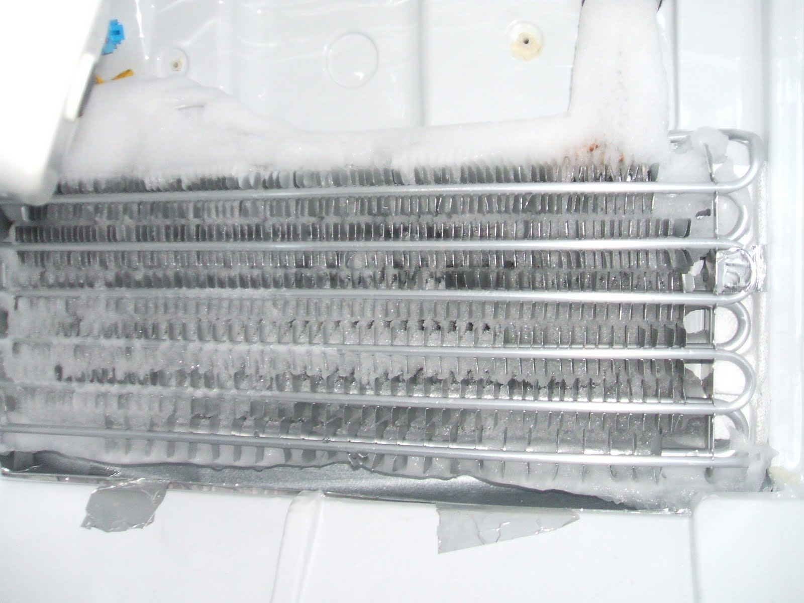 Lori's Travel & Other Adventures: Refrigerator Repairs - is my Samsung