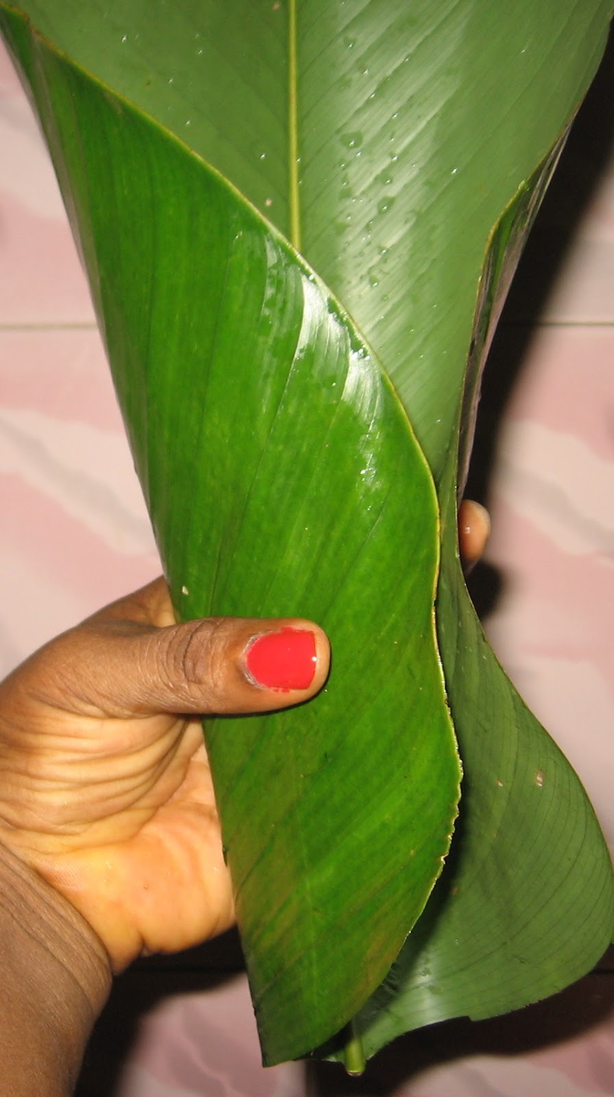 How To Make Moi Moi With Beans Skin And Eggs, Guide To Easy Wrapping Of