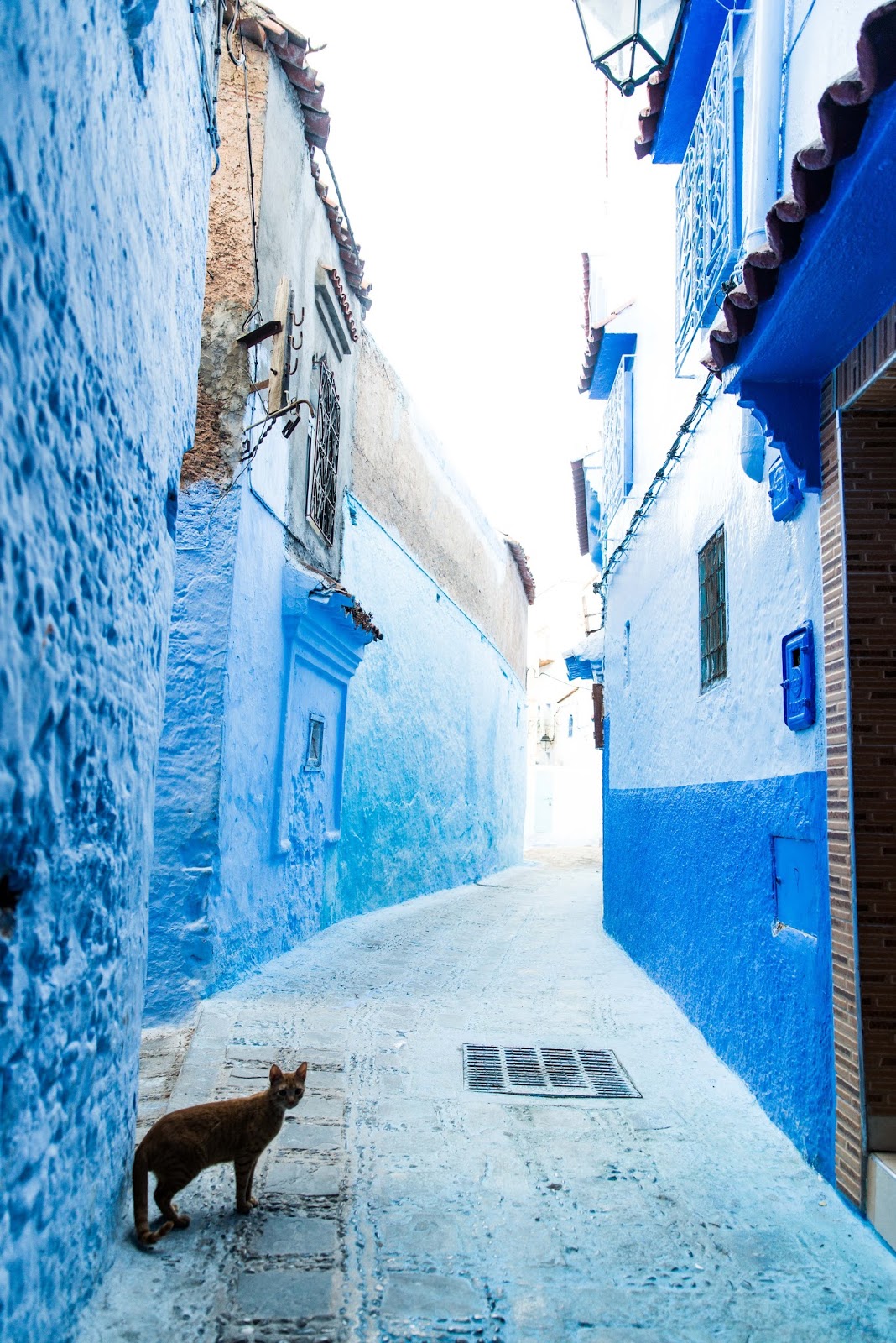 chefchaouen blue city morocco liquidgrain liquid grain kathryn