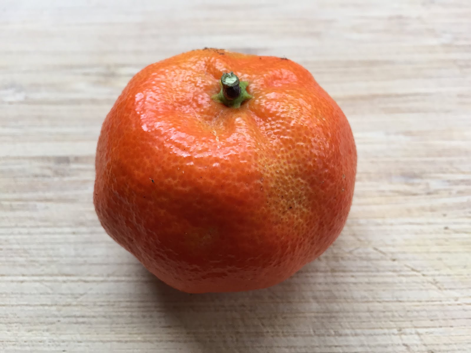 Citrus Enthusiast Tangors, Tangerines & Tangelos