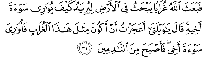 Surat Al-Maidah Ayat 31