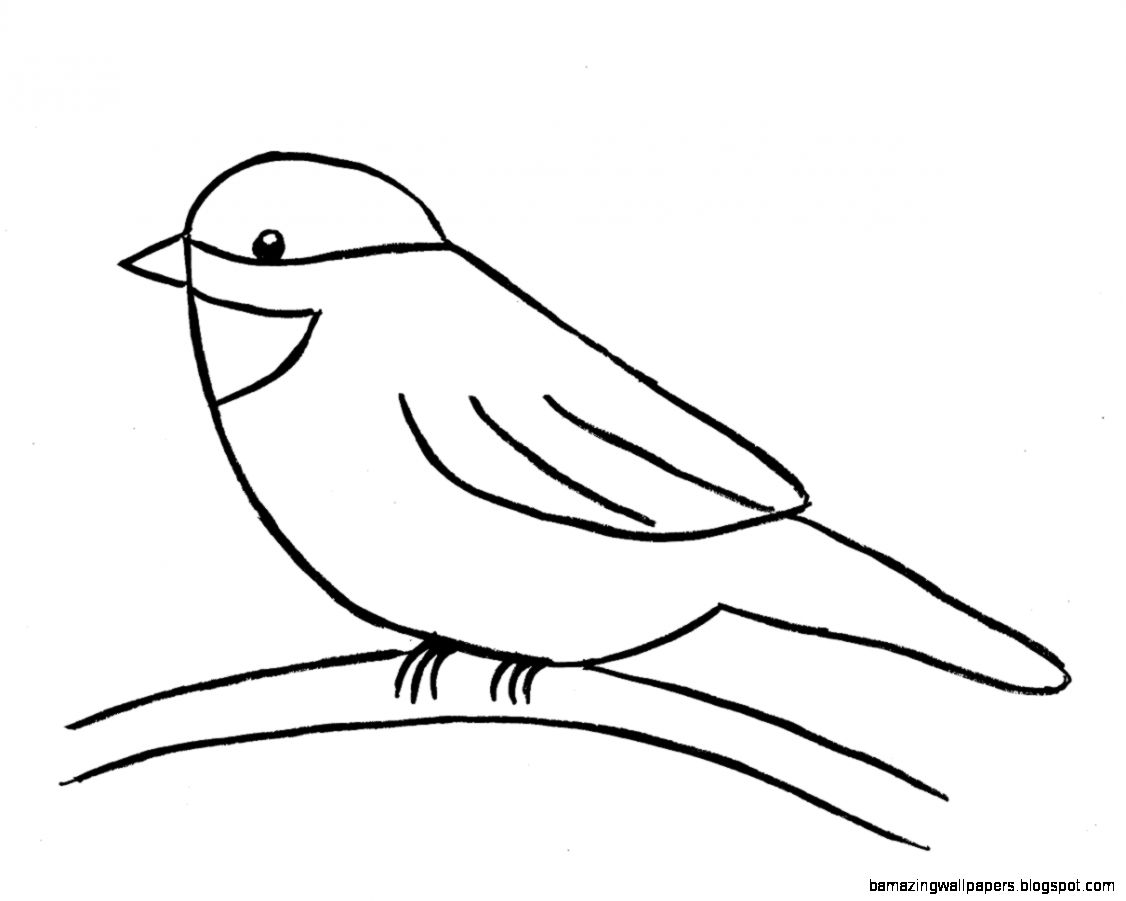 Simple Bird Drawing