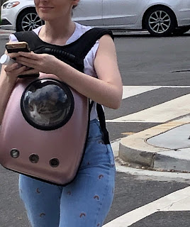 Photo of a woman carrying a hard-shell pink frontpack with a window in which you can see her cat's head.