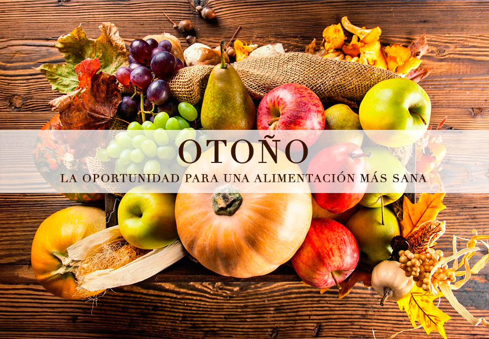 Risultati immagini per equinoccio de primavera 2016 hemisferio sur