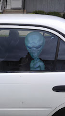 Alien Sighting While Showing Homes