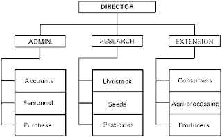 Communication: Leadership, Organisational Structures and How They