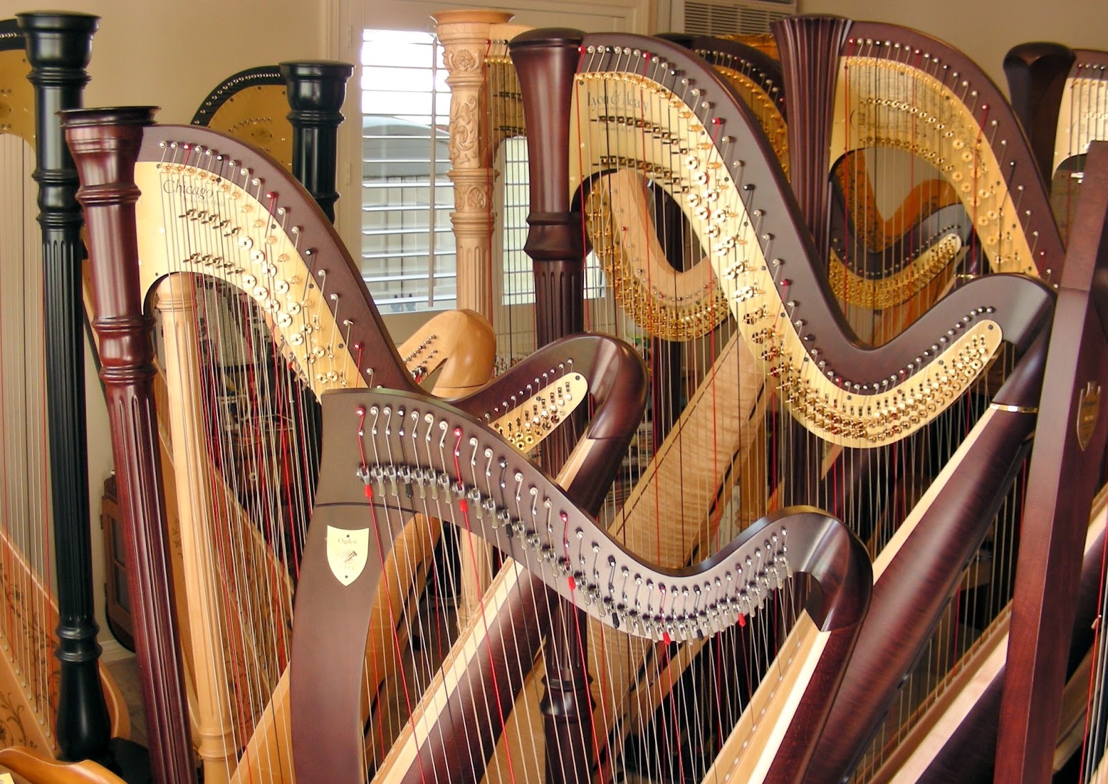 HARP IN LA (818) 4954652
