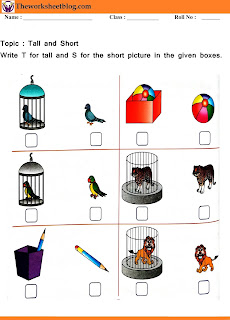 Tall and Short worksheet for kindergaten