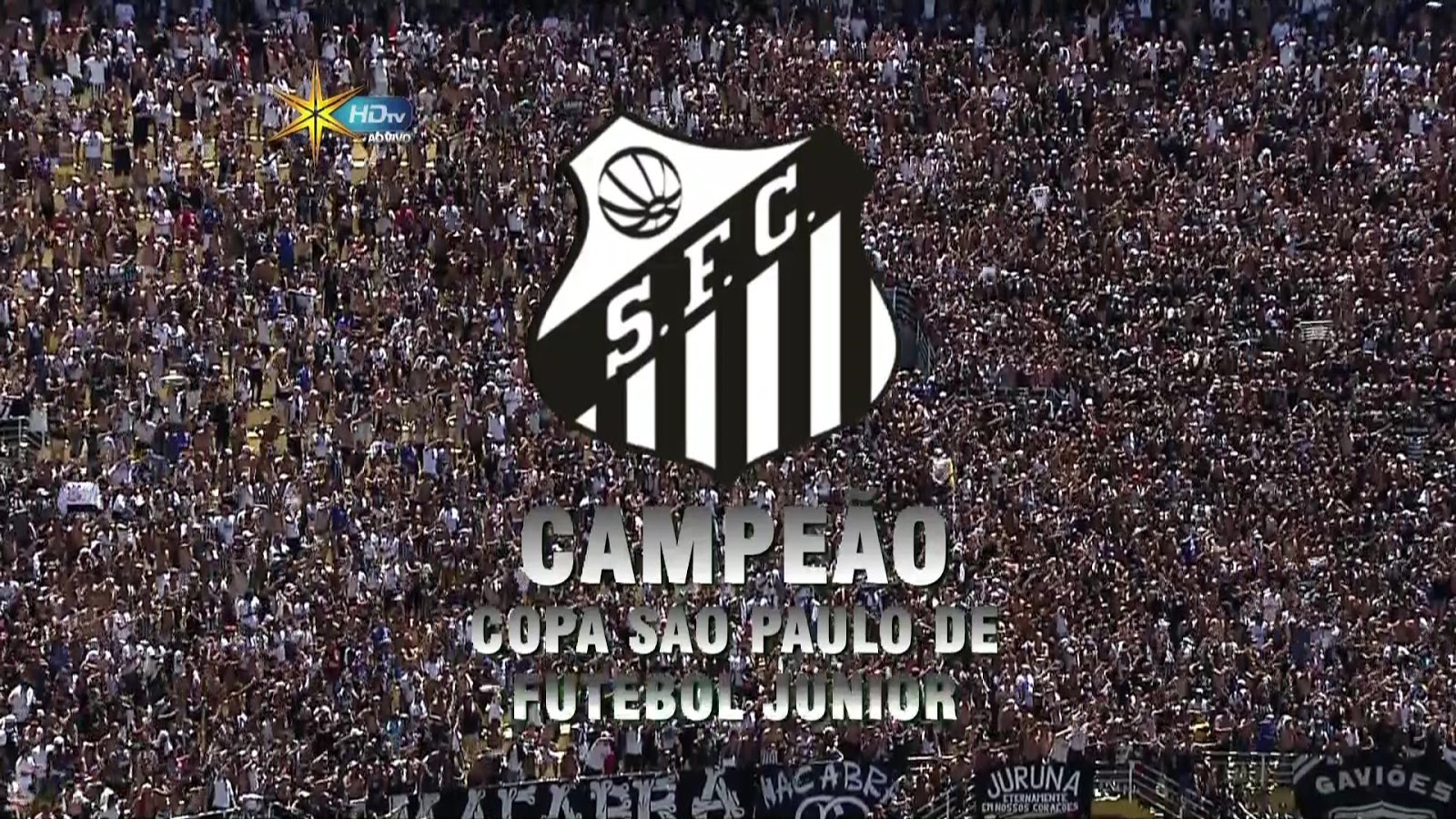 WallPapersBR Blog: Wallpapers Santos FC
