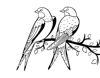 Desenhos de pássaros para colorir