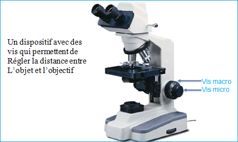 Infographies du fonctionnement d'un microscope optique binoculaire et de  différents types de microscopes. [Adobe Illustrator (.ai); 2480x3248] Photo  Stock - Alamy