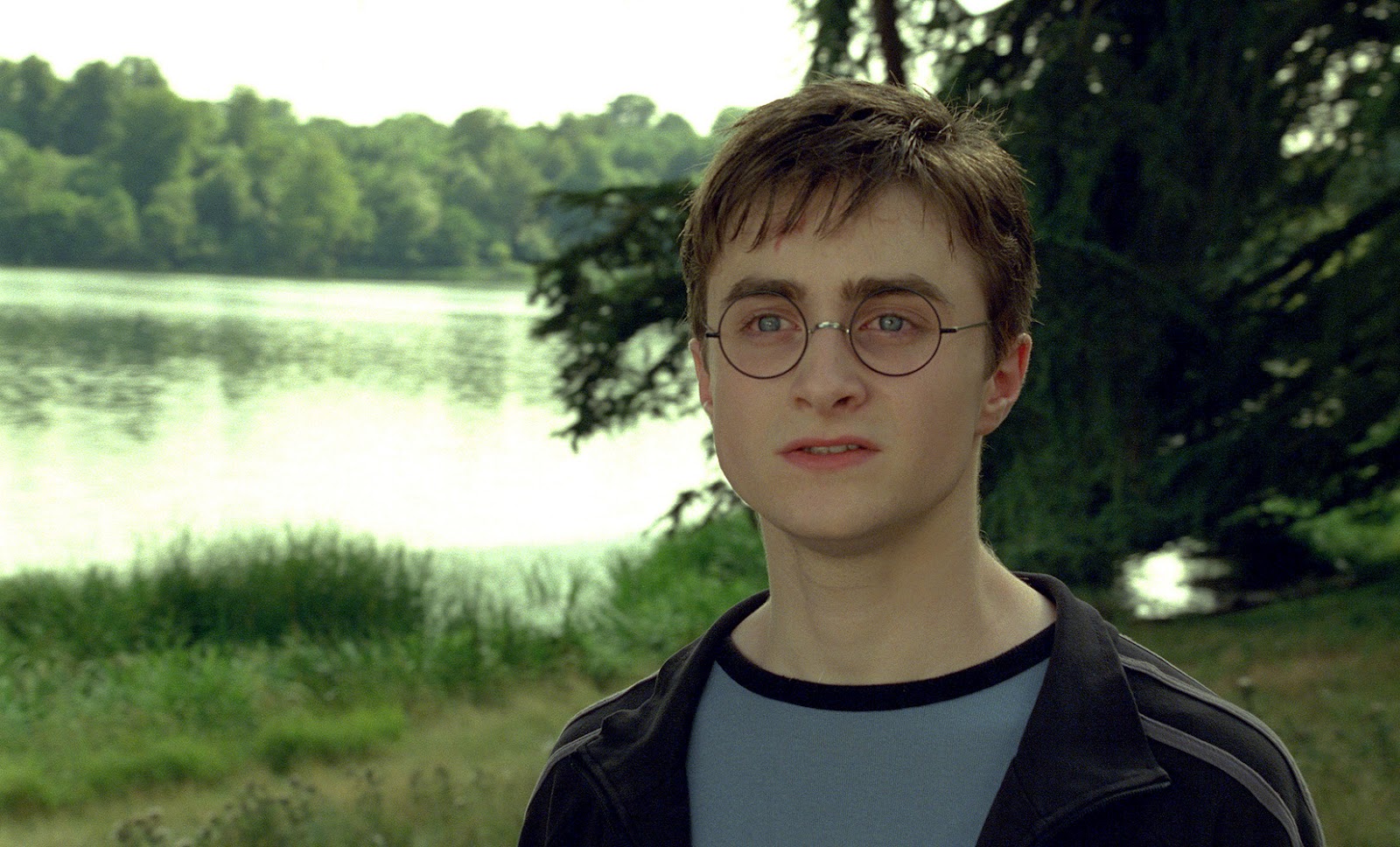 harry potter phoenix harry potter phoenix