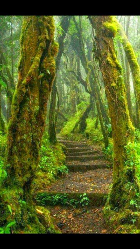 صور ساحرة مأخوذه من أجمل أماكن الطبيعة,,