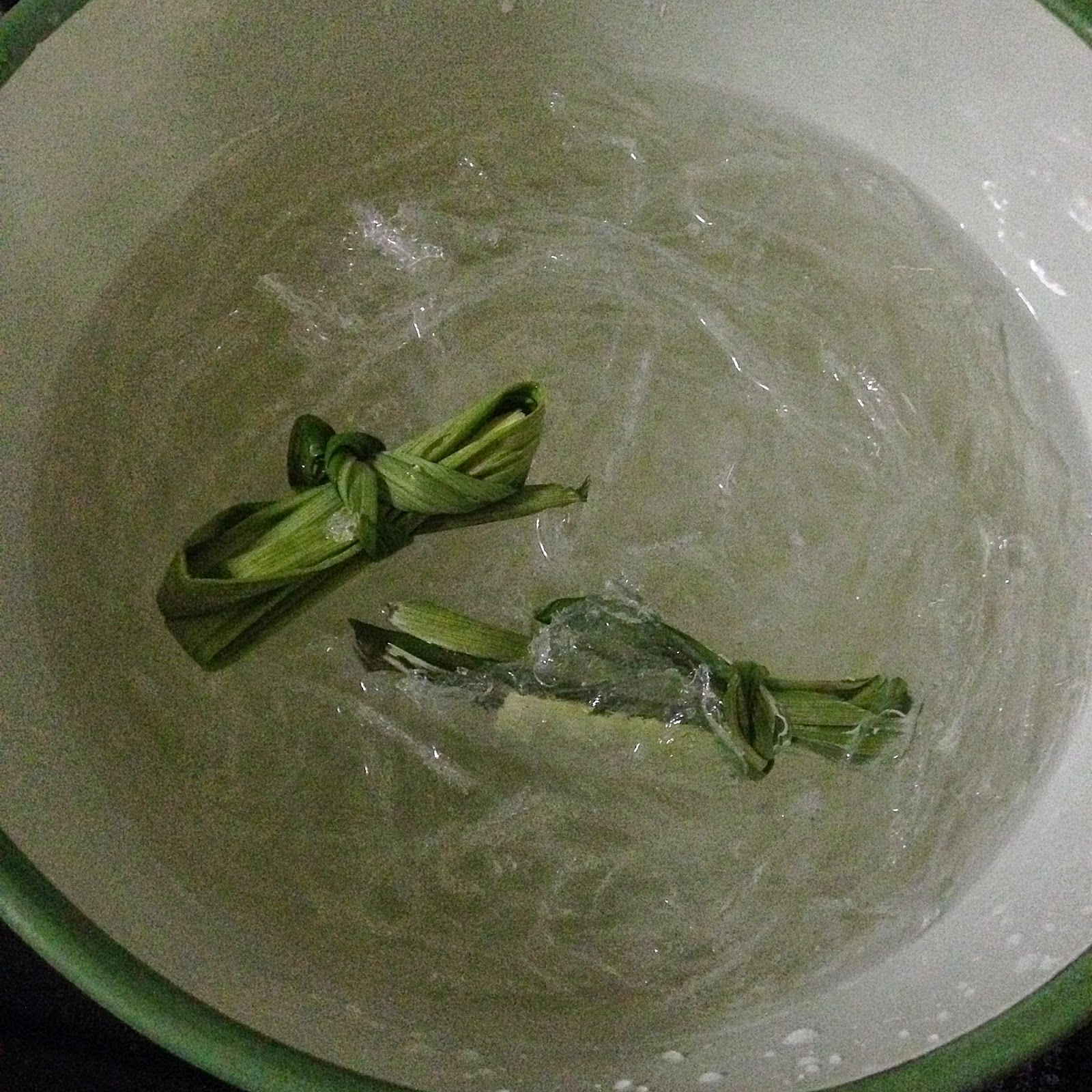 FoodieFC Coconut Milk Agar Agar Recipe Using Agar Agar Strips