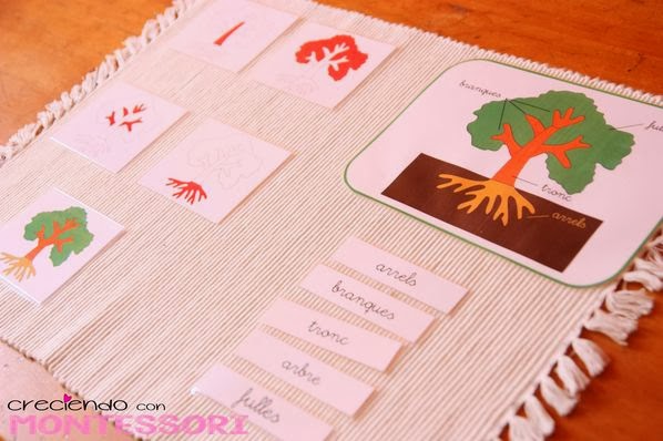 Botánica Montessori - El Árbol - Imprimibles Gratis | Creciendo con