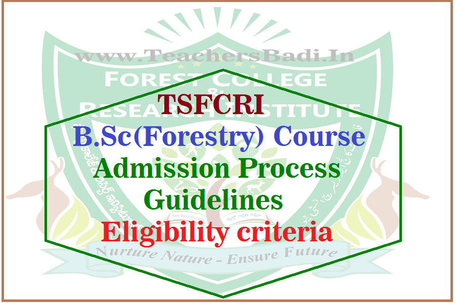 Forestry degree classes picture