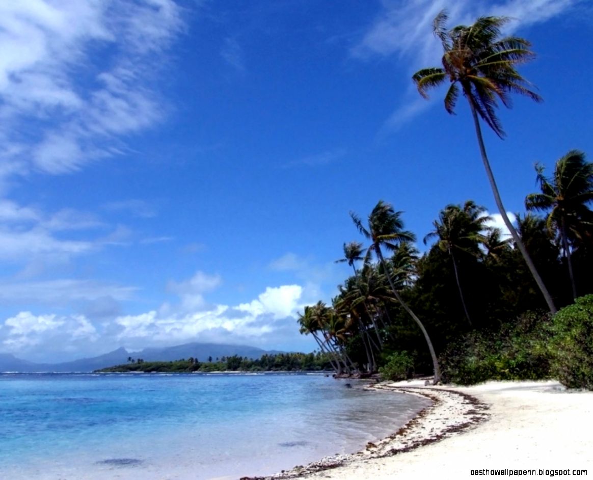 Mobile Wallpaper Wallippo and Tropical Island Desktop 1024x768PX