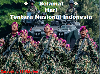 hari-tentara-nasional-indonesia-3