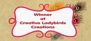 Winner - Creative Ladybirds Creations