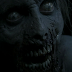 The Walking Dead: 2x11 "Judge, Jury, Executioner"