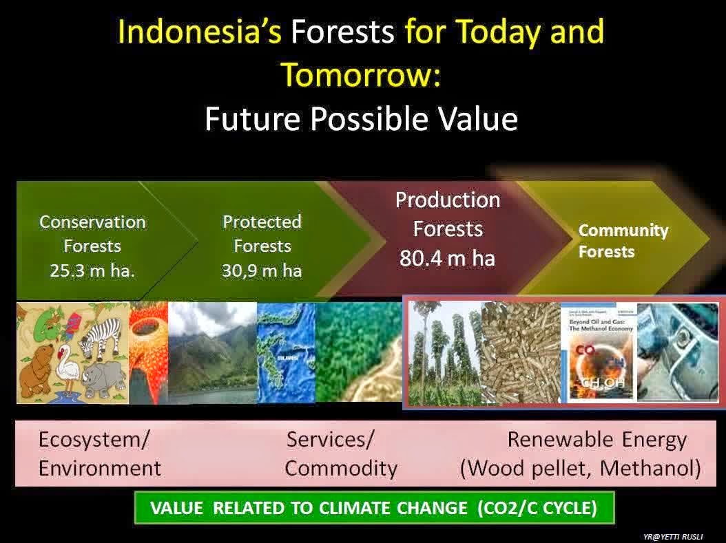 Inovasi Biomasa : April 2015