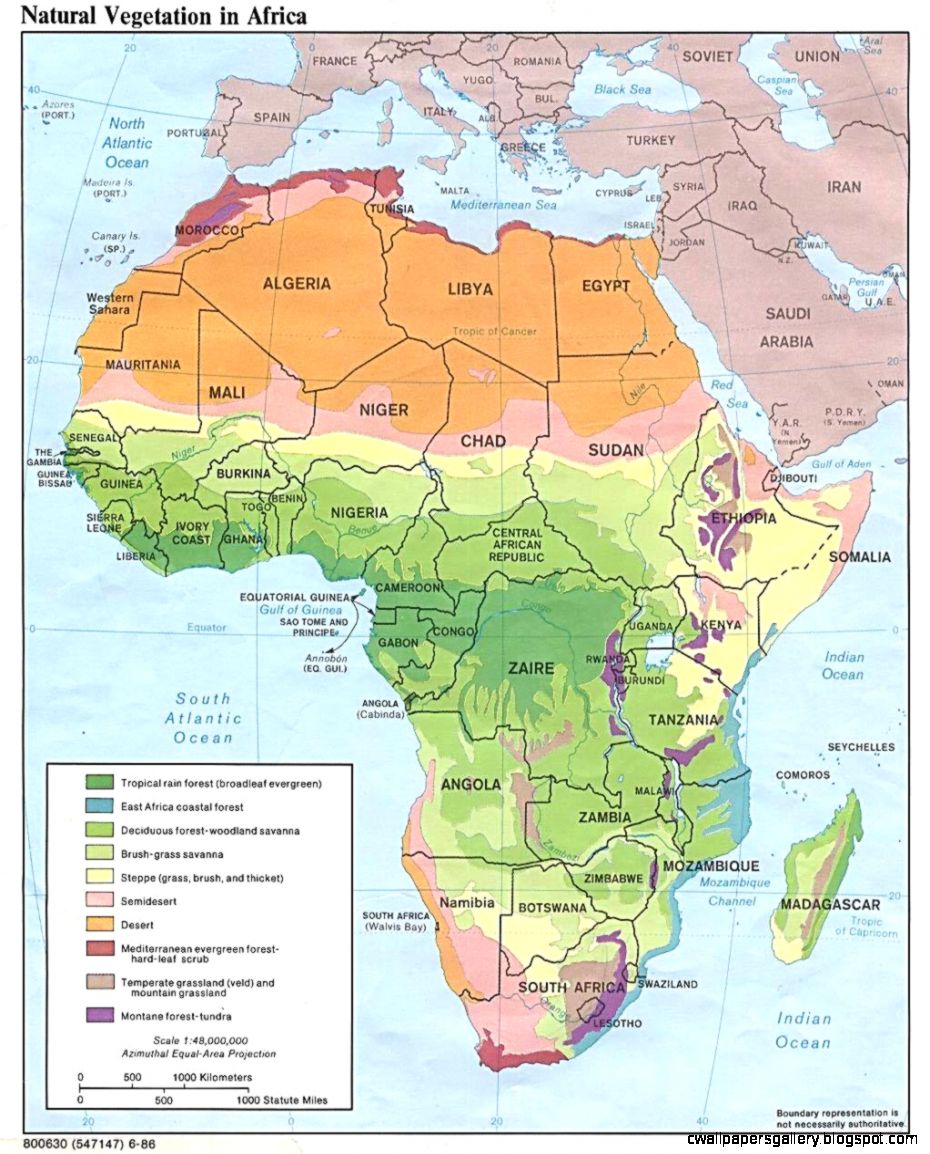 Africa Rainforest Map