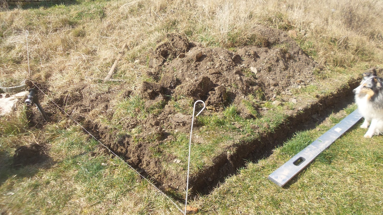Ein Haus Fur Mensch Hund Katze Und Maus Osterwochenende