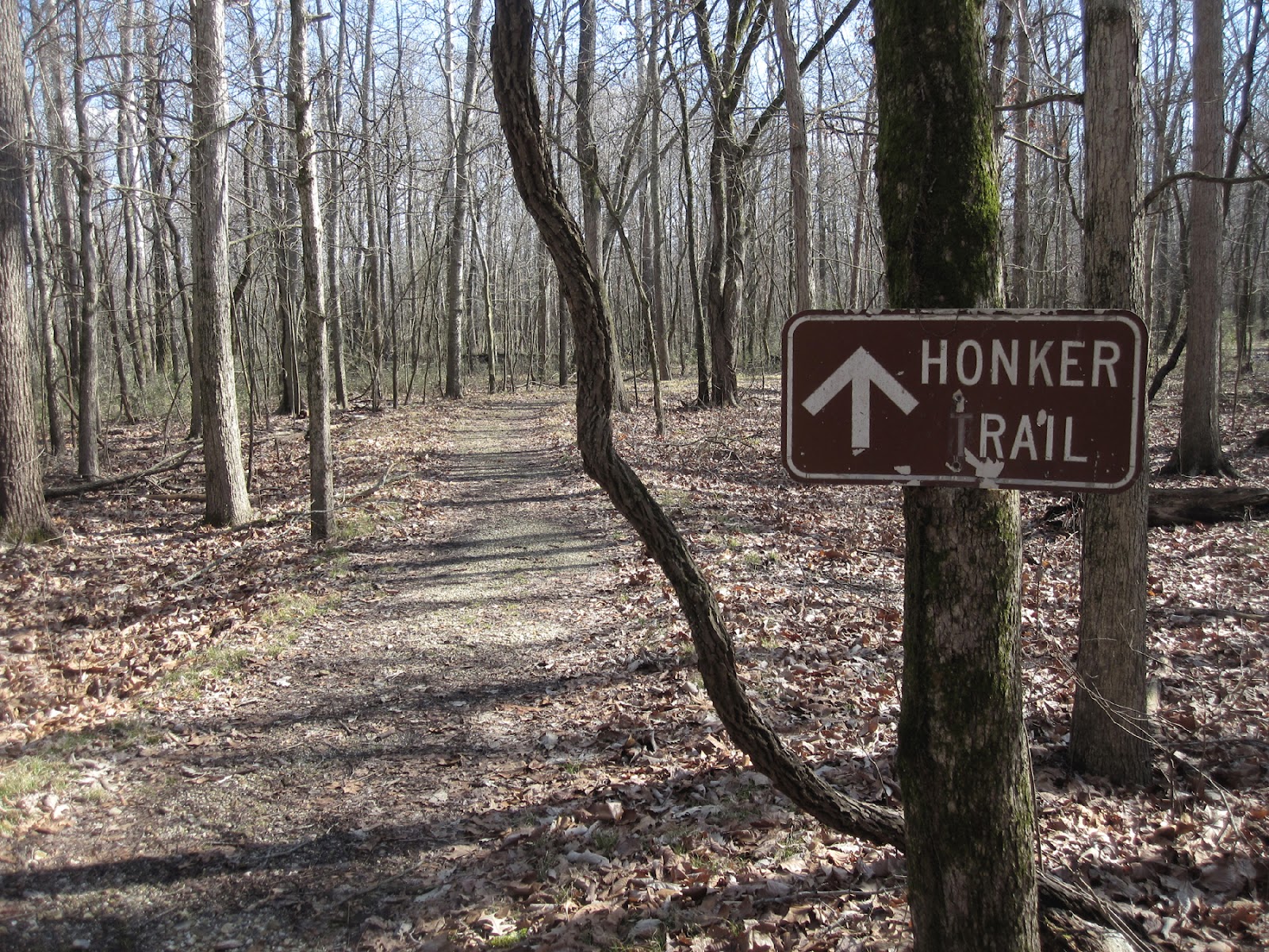The MicroHiker Honker Lake Trail, Golden Pond Kentucky