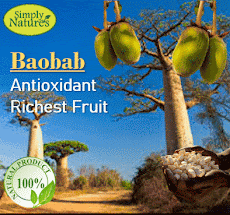 Promosi Baobab