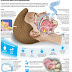 Apnea del sueño puede incrementar mortalidad del cáncer de pulmón
