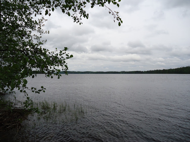 DSC01618.JPG