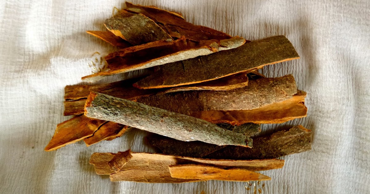 Keep Calm & Curry On Ingredient of the Week Dalchini, Cinnamon stick