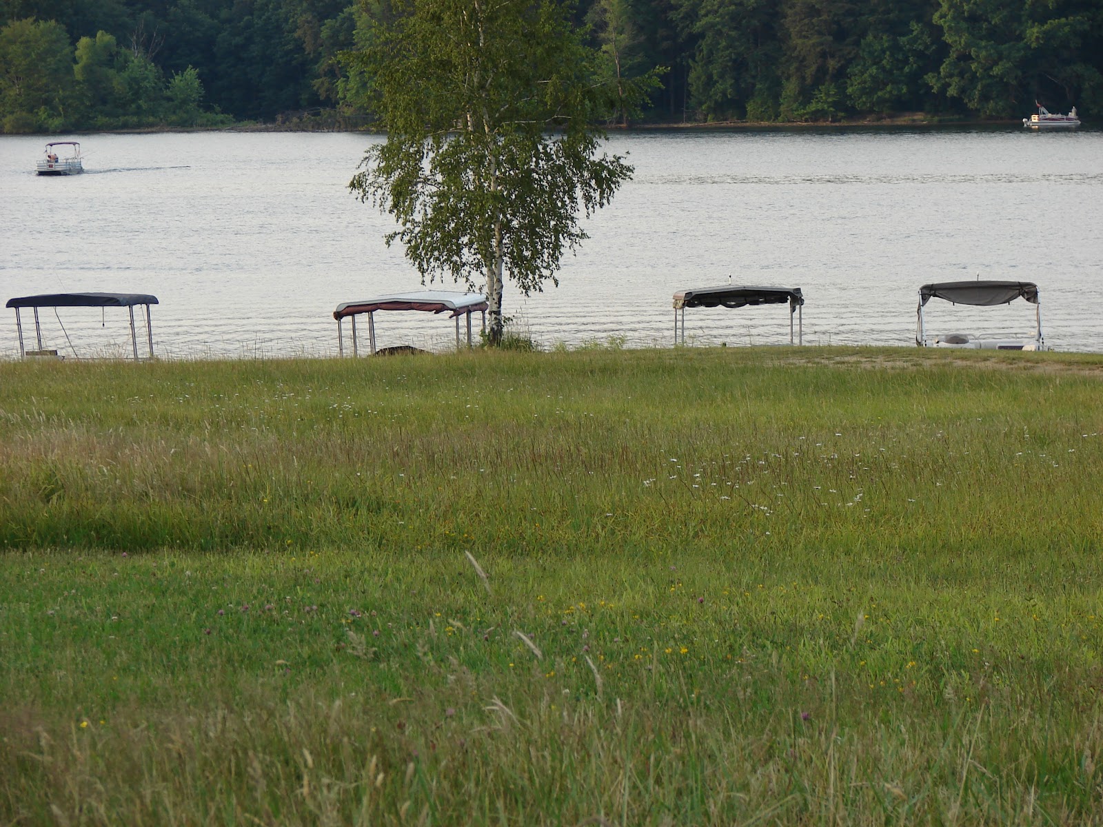 Pymatuning Photo Gallery PHOTO GALLERY OF LAKE