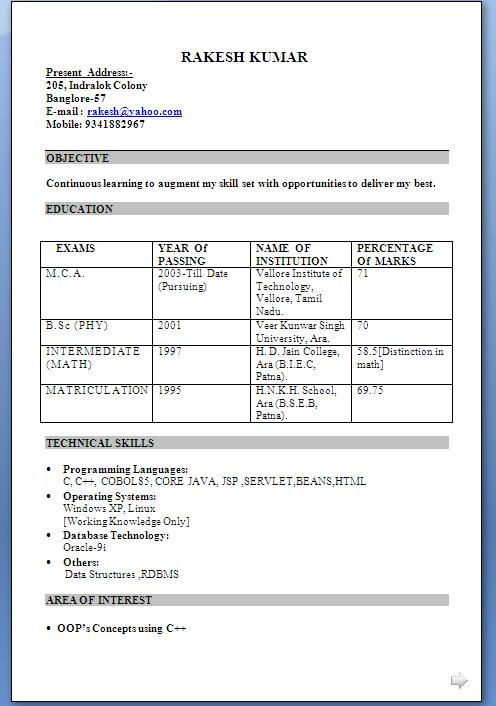Resume For Work Experience